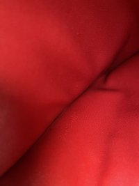 IMG_8392.jpeg