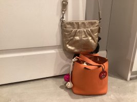 IMG_0309.jpeg