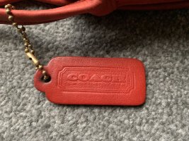 IMG_6186.jpeg