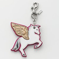 92542_svmc_PEGASUS CHM-a0.jpg