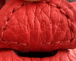IMG_2551.jpeg