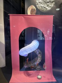 IMG_2334.jpeg