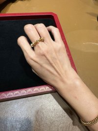 IMG_6885.jpeg