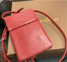 crossbody wallet -  mercari.png