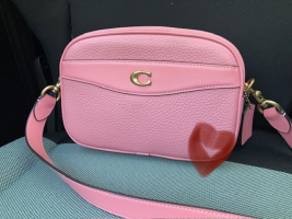 Coach Camera bag.png