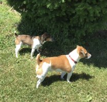 IMG_3786.jpeg
