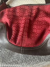 IMG_9634.jpeg