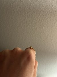 IMG_0450.jpeg