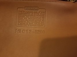 20240313_210044.jpg