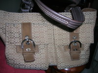 purse#2.jpg