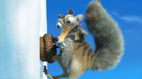 squirel.jpg