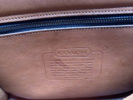 IMG_7556.jpeg