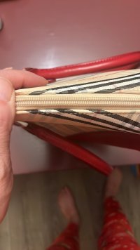 IMG_2087.jpeg