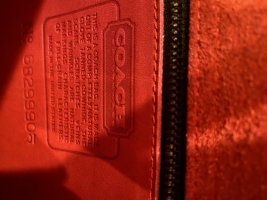 IMG_0950.jpeg