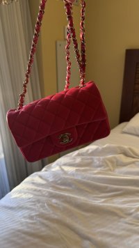 IMG_2825.jpeg