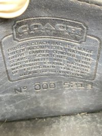 IMG_6061.jpeg