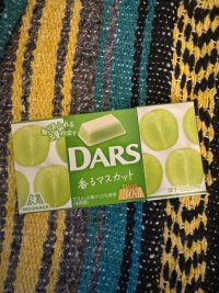 IMG_5775.jpeg