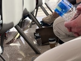 IMG_3018.jpeg