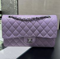 24P Purple.jpeg