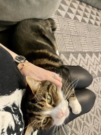 IMG_6647.jpeg