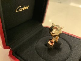 IMG_8155.jpeg