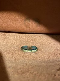 IMG_8143.jpeg