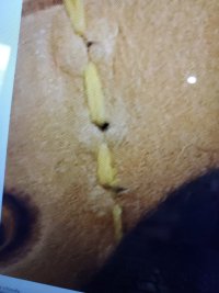 LV baggy stitching up close.jpg