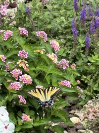 IMG_0870.jpeg