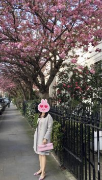 IMG_2487.jpeg
