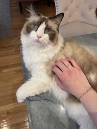 IMG_1883.jpeg