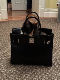 IMG_7122 (1).jpeg