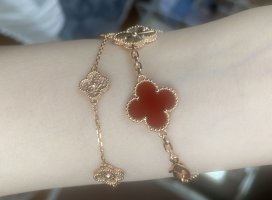 IMG_6244.jpeg