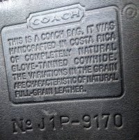 PXL_20240413_183902753.jpg