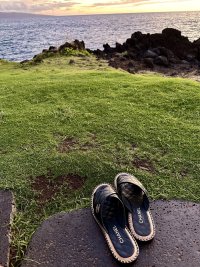 IMG_3107.jpeg