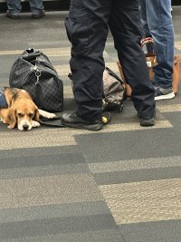 IMG_0002.jpeg