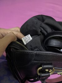 IMG_1251.jpeg