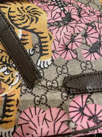 IMG_6026.jpeg