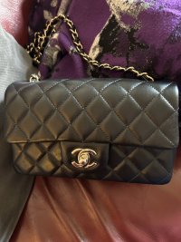 IMG_2795.jpeg