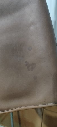 1000124212.jpg