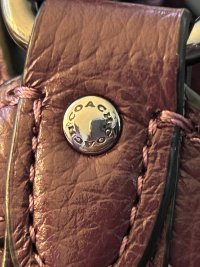 IMG_1447.jpeg