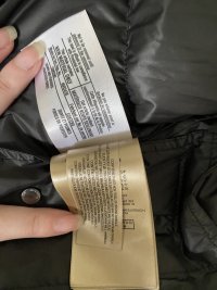 IMG_6799.jpeg
