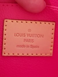 LV multicolor pouch.jpg