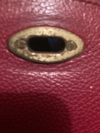 IMG_2865.jpeg