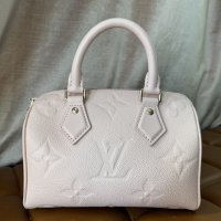 LV Bag.jpg
