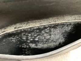 IMG_8870.jpeg