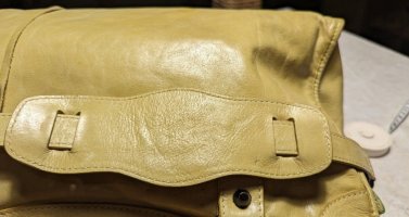 IMG_7091.jpeg