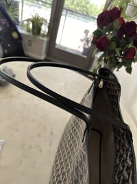 IMG_6100.jpeg