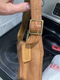 IMG_5573.jpeg
