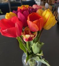 IMG_3844.jpg