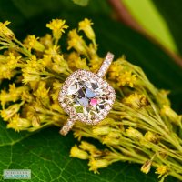 emilya-rose-gold-victorcanera-canera..jpg